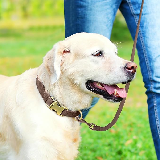 Genuine Leather Dog Collar - Image 3