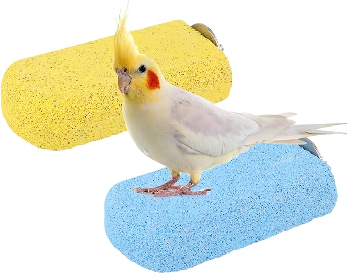 Wontee Bird Chewing Toys Grinding Beak Bird Perch Stand by Wontee