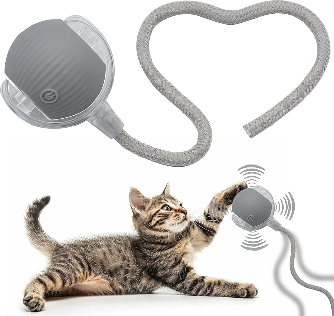 Interactive Cat Dog Toy Ball: Indoor Small Automatic Moving Smart Rolling Fun by AEBDERP