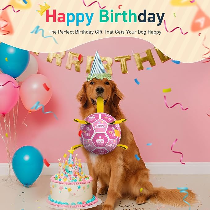 QDAN Dog Birthday Toys, Squeaky Dogs Toys, Dog Soccer Ball - Image 5
