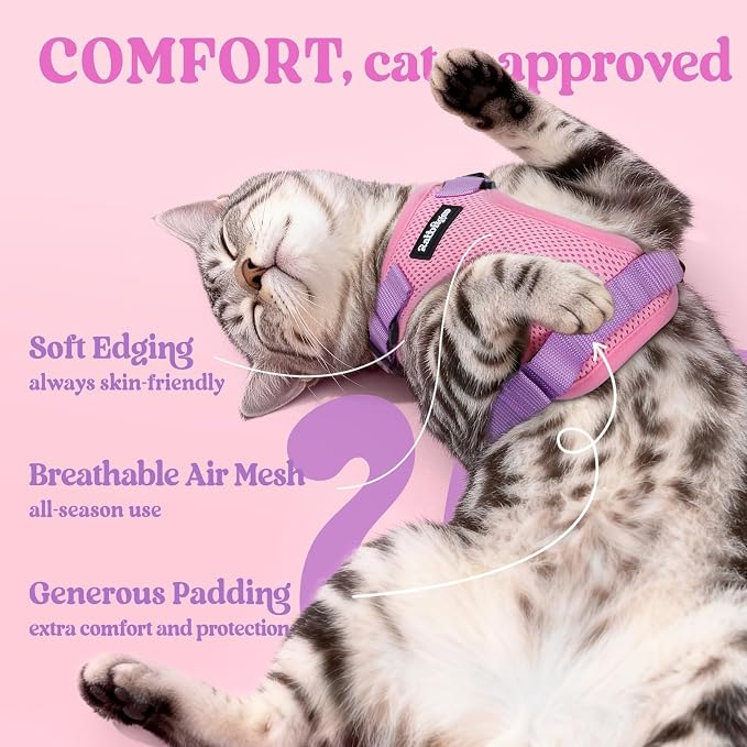 rabbitgoo Cat Harness and Leash - Image 4