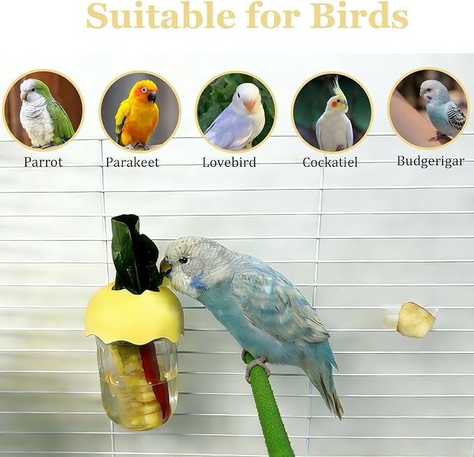 7 PCS Bird Cage Feeder for Vegetable Millet Holder Cage Accessories - Image 7