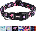 QQPETS Adjustable Soft Dog Collar: Print Flower Pink Multicolor Cute Patterns