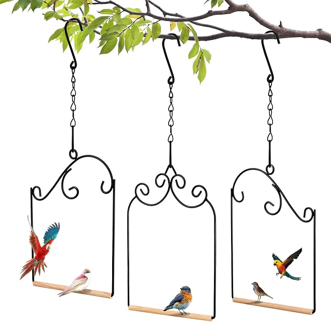 3 Pcs Hummingbird Swings and Perches Wild Bird Swing Metal Frame by Jenaai
