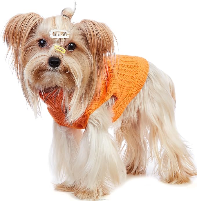 Stretchy Cat Sweater - Image 3