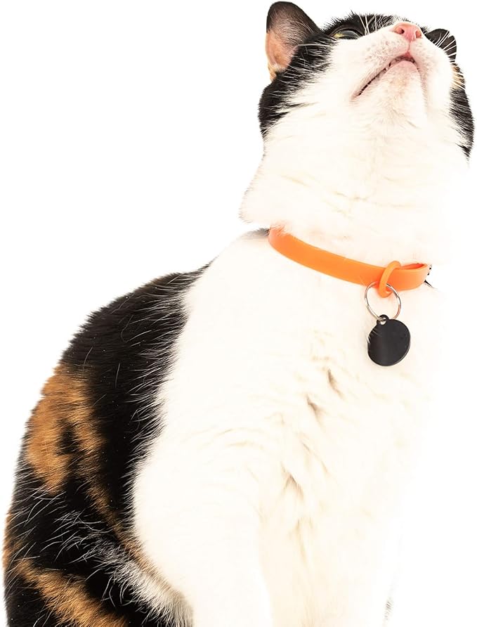 Rubber Cat Collar - Image 7