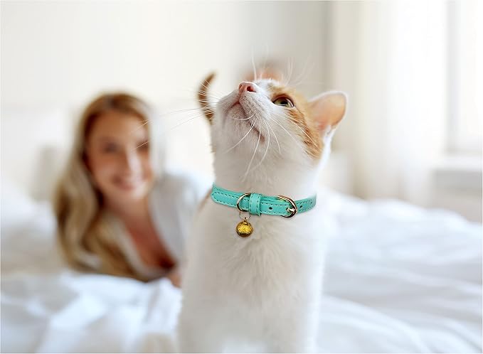3 Pack Leather Cat Collars - Image 2