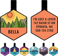 GoTags Silent Dog Tag, Personalized Engraved Hexagon Silicone Dog and Cat Name by GoTags