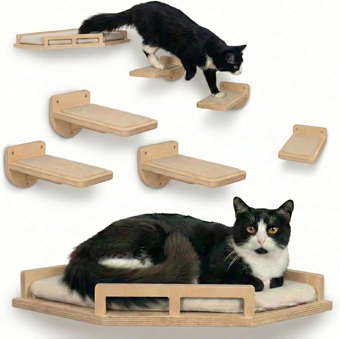 INICIO Cat Wall Shelves by INICIO