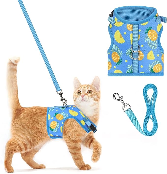 PUPTECK Soft Mesh Cat Vest Harness and Leash Set Puppy Padded Pet Harnesses by PUPTECK