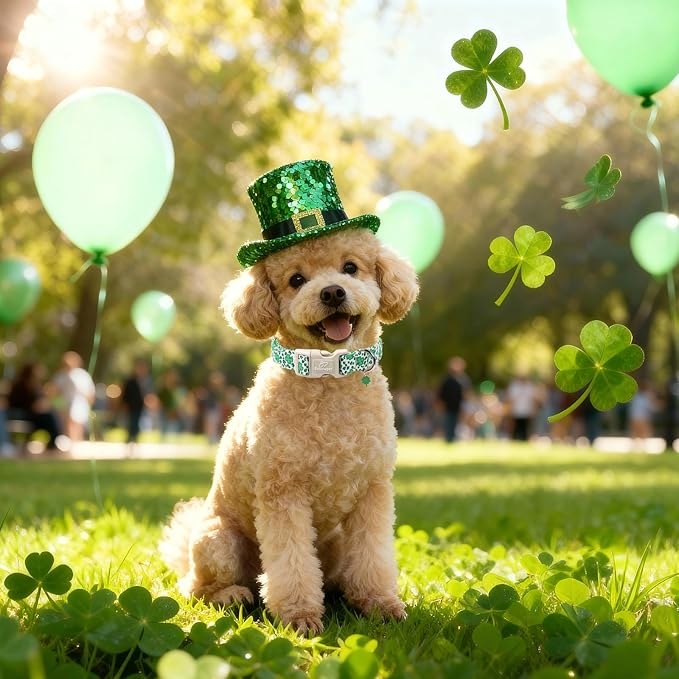 St Patricks Day Dog Collar for Puppy Small Dogs - Image 3