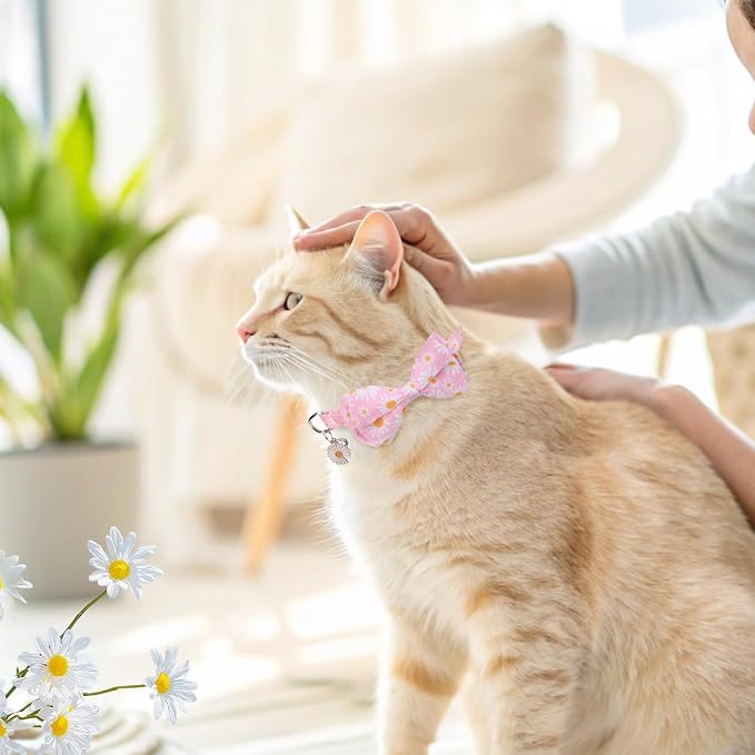 SCENEREAL Spring Cat Collar Breakaway - Image 2