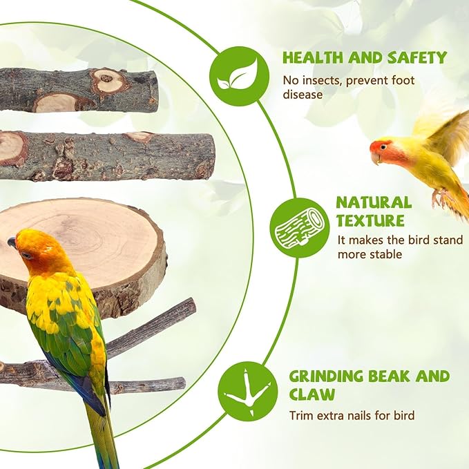 12PCS Natural Wood Bird Perches - Image 4