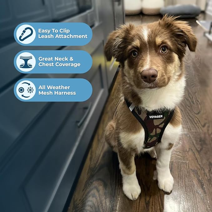 Best Pet Supplies Voyager Step-in Air Harness - Image 3
