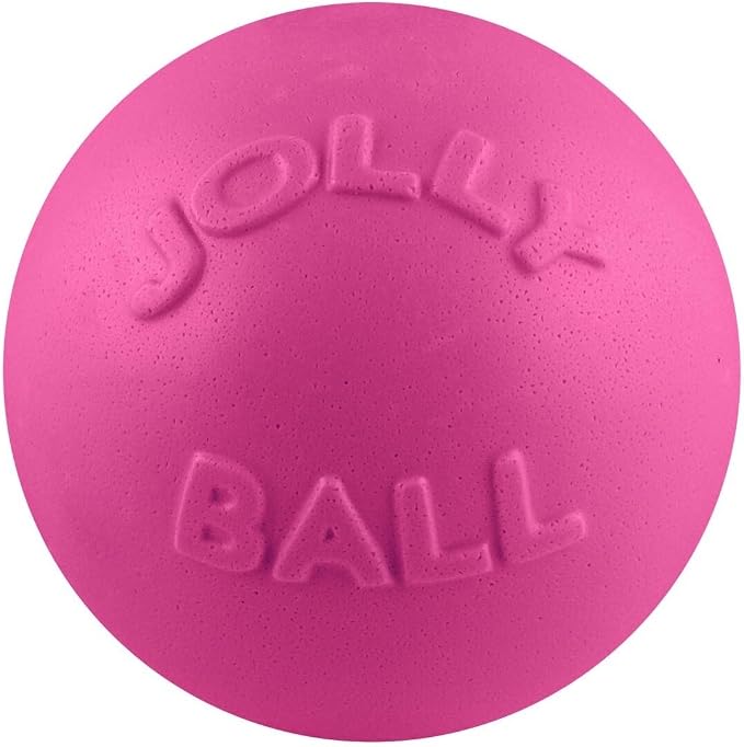 Jolly Pets Bounce-n-Play Dog Toy Ball, 6 Inches, All Breed Sizes - Image 3