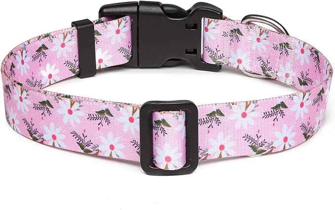 Mercano Adjustable Dog Collar