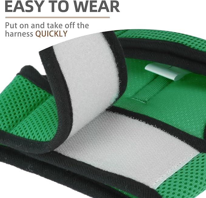 PUPTECK Soft Mesh Cat Vest Harness and Leash Set Puppy Padded Pet Harnesses - Image 5