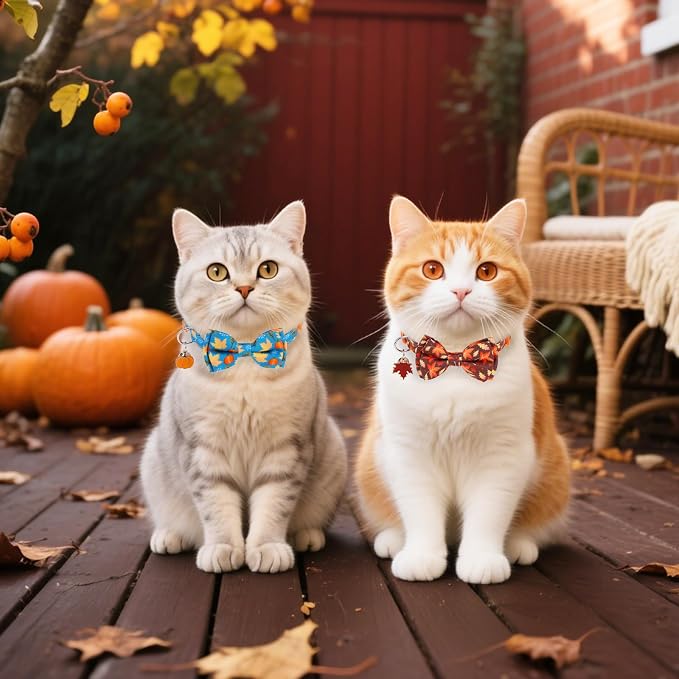 Breakaway Cat Collar Thanksgiving 2 Pack - Image 3
