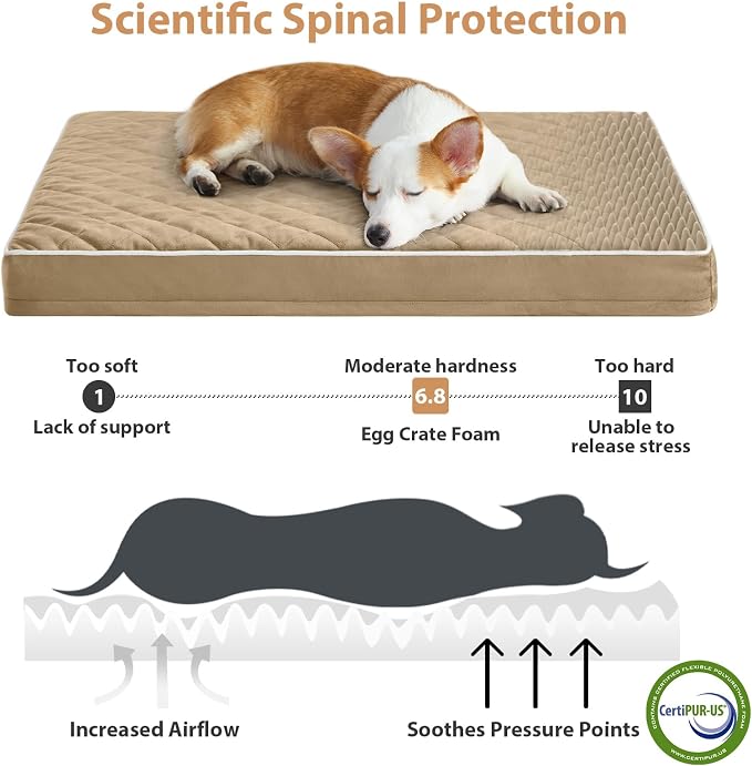 WNPETHOME Orthopedic XL Dog Beds Large Sized Dog, Waterproof Extra Large Dogs - Image 3