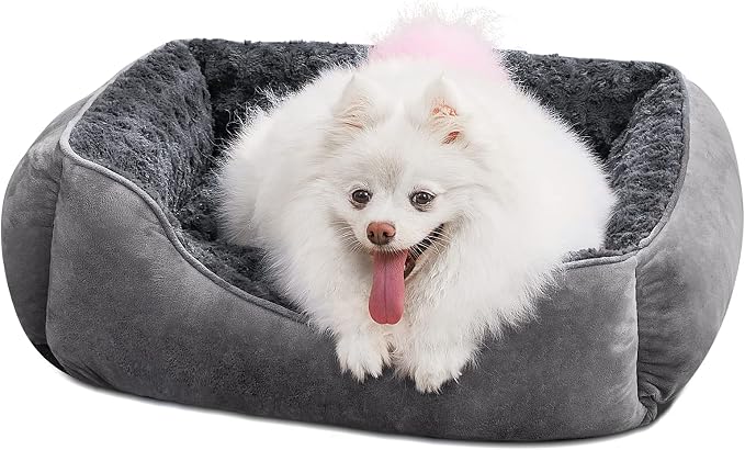 JOEJOY Rectangle Dog Bed for Large Medium Small Dogs by JOEJOY
