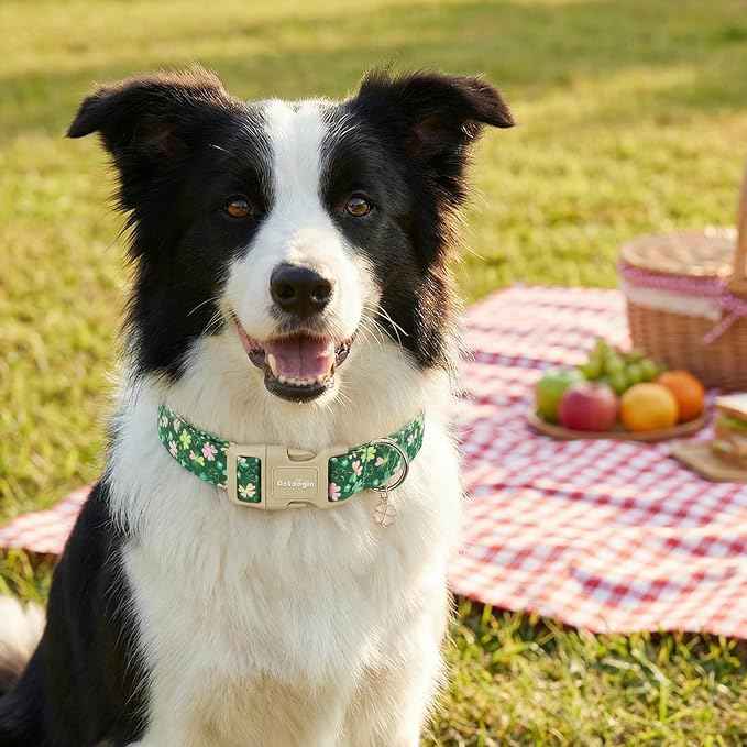 St. Patrick's Day Dog Collar, Adjustable Spring Cotton Collars Gifts
