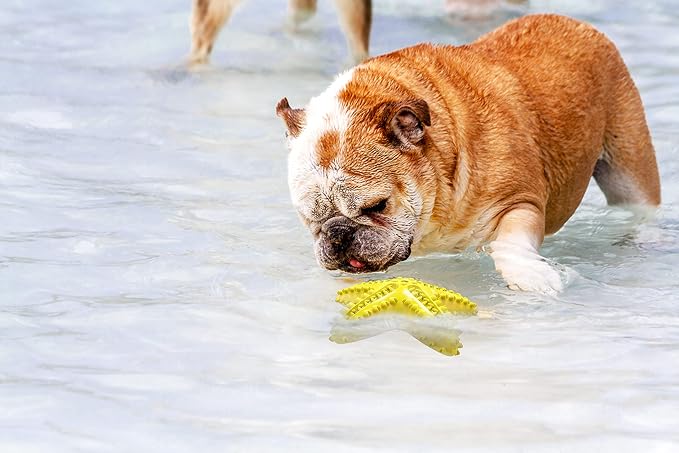 Carllg Dog Toys for Aggressive Chewers, Dog Teething Cleaning Toothbrush Toy - Image 5
