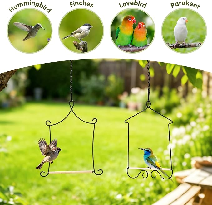 4PK Metal Frame Hummingbird Swings and Perches - Image 4