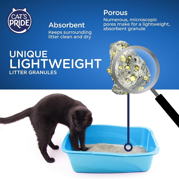 Cat's Pride Lightweight Clumping Litter: Natural - Image 4