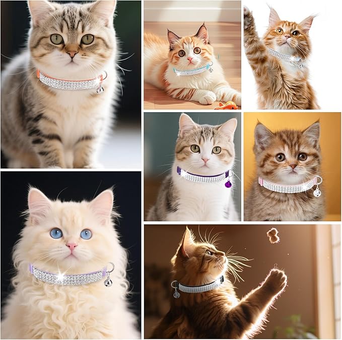 EXPAWLORER Soft Velvet Safe Cat Collars - Image 8