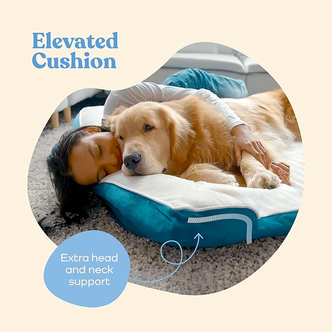 Orthopedic Sofa Dog Bed - Image 4
