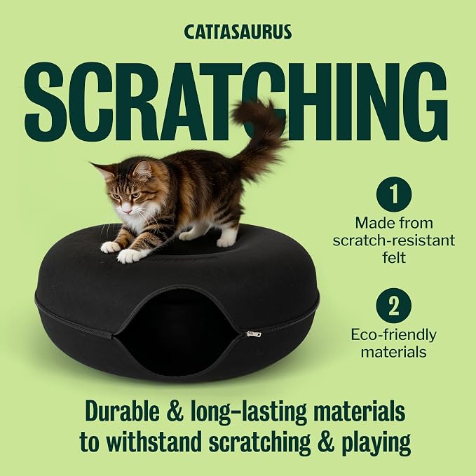 Cattasaurus Peekaboo Cat Cave Donut - Image 2