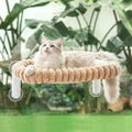 Sunhoo Cat Window Perch Bed Foldable Kitty Windowsill Hammock Shelf Seat Large by Sunhoo