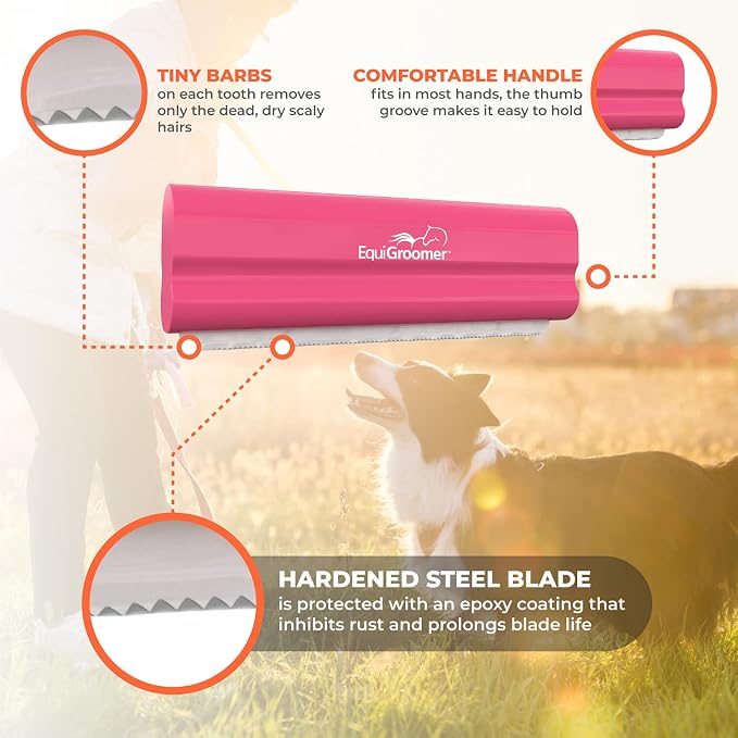 EasyGroomer Deshedding Brush for Dogs & Cats – Undercoat Grooming Tool for - Image 4