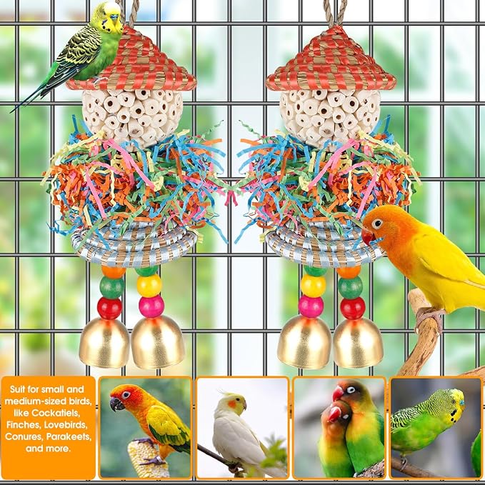 BBjinronjy 2PCS Bird Toys Parrot Foraging Shredder Hanging Toys Sola Balls - Image 5