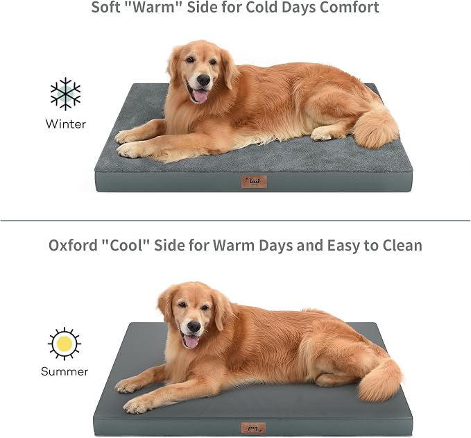 Flat Extra Large Dog Bed, Jumbo Waterproof Dog Bed - Image 4