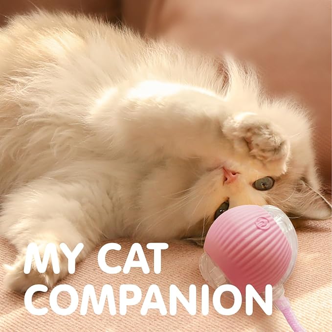 Rocfish Durable Interactive Cat Toys - Image 8