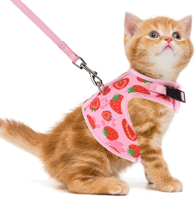 PUPTECK Soft Mesh Cat Vest Harness and Leash Set Puppy Padded Pet Harnesses by PUPTECK