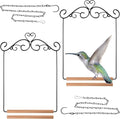 Hotop 2 Pcs Hummingbird Swings and Perches Metal Frame Bird Swing by HOTOP