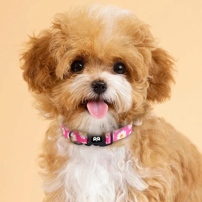 QQPETS Adjustable Soft Dog Collar: Print Flower Pink Multicolor Cute Patterns - Image 2