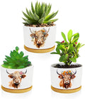 Highland Cow Succulent Pots 3 Pack, 3 Inch Succulent Planters by Databa