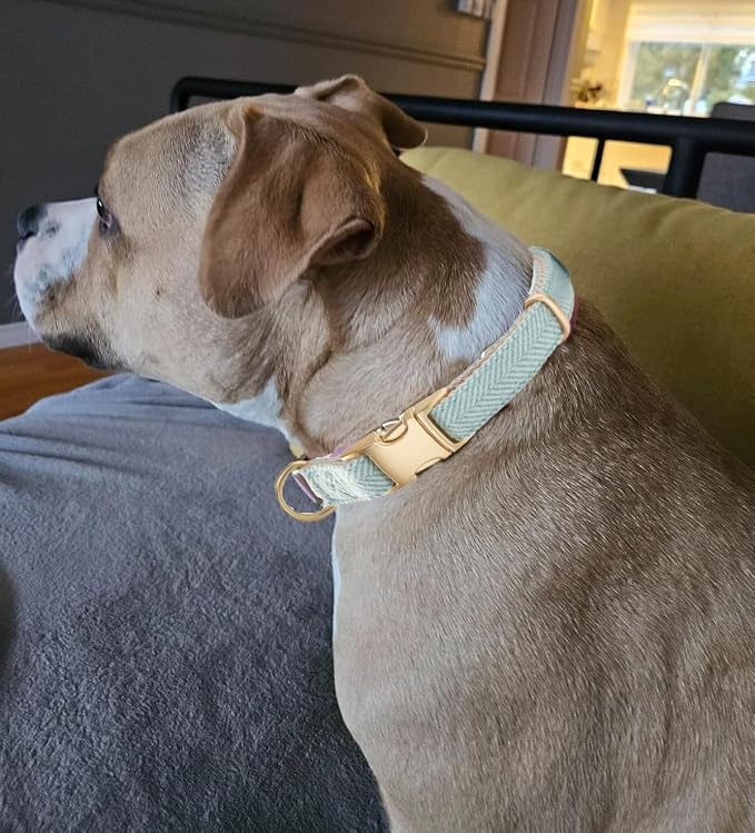 Soft Cotton Hemp Dog Collar - Image 5
