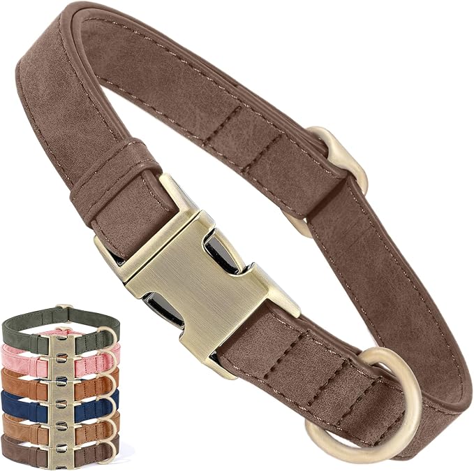 Genuine Leather Dog Collar by HOME