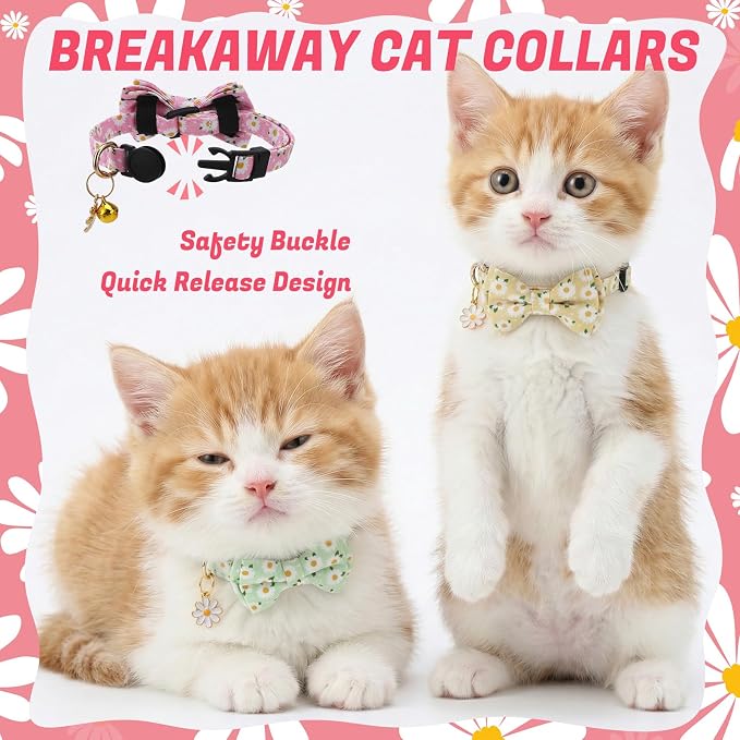 6 Pack Breakaway Cat Collars - Image 5
