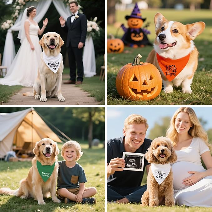 My Mom is Single Funny Dog Bandana, Valentine's Day Dog Bandana, Adjustable Pet - Image 6