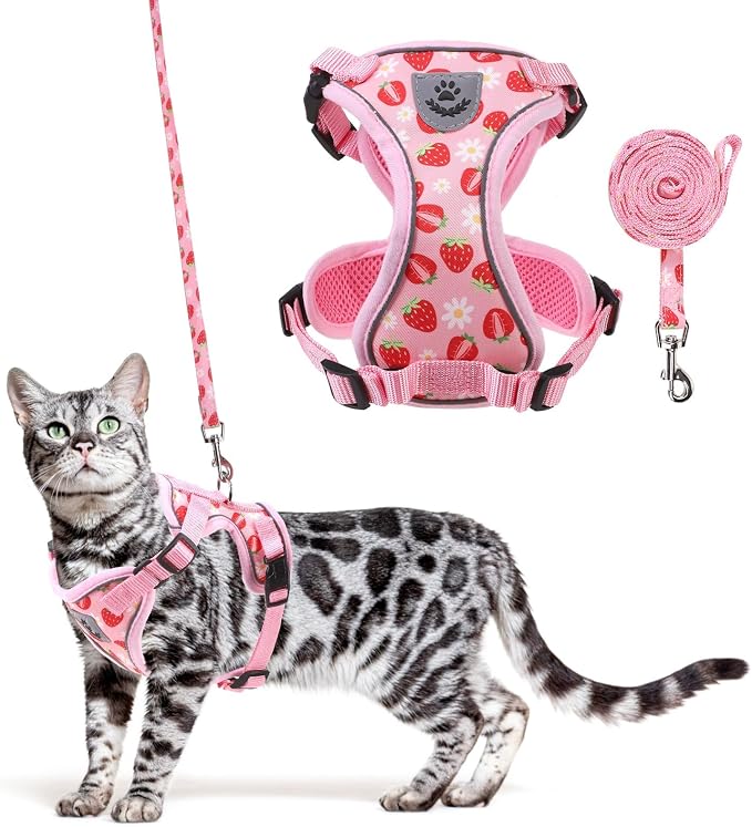 KOOLTAIL Cat Harness and Leash Set, Escape Proof by KOOLTAIL