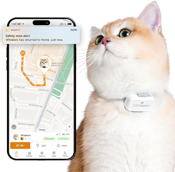 Pawfit Lite for Cats 4g GPS Tracker | Ultra-Small Design | Real-Time Tracking | by Pawfit