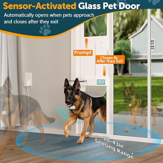 Automatic Sliding Glass Dog Door - Image 5