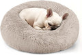 Hoewina Dog & Cat Bed, 20in Cat Beds by Hoewina