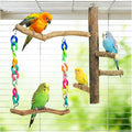 Bird Toys, Bird Swing Toys by Matutinus
