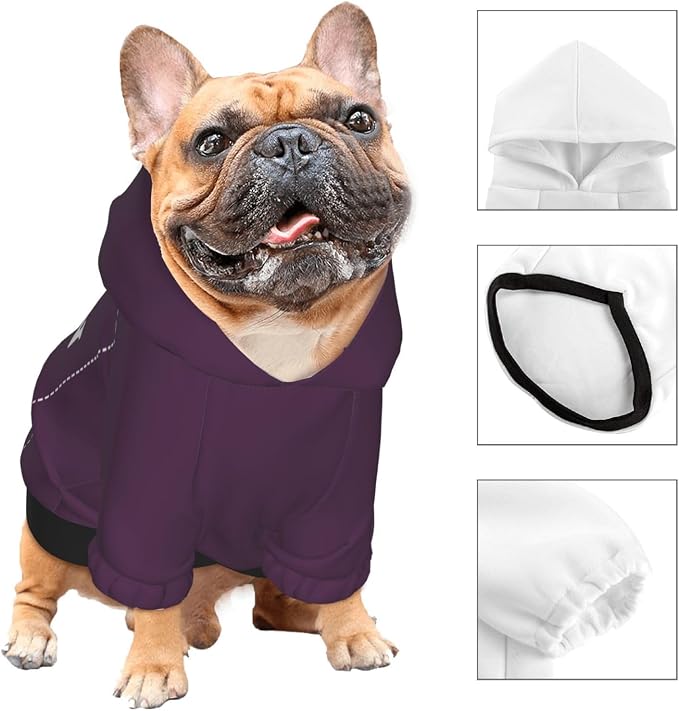Personalized Chihuahua Dog Hoodie, Custom Pet Warm Sweatshirt Costume - Image 3
